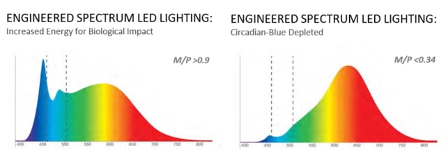 Illustration showing cyan levels in circadian and the biological impact. (Image: LANTANA LED.)