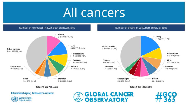 The global incidence of different types of cancer in 2020. (Image courtesy of the Global Cancer Observatory Twitter account @GLOBOCAN_GCO.)