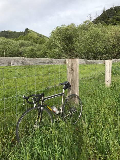 Splendor in the grass. The author's bike rests during a recent trip through Marin County, Calif. The diamond-shapedbike frame with tubular construction may be the optimum shape. Made of titanium, this bike has withstood a hundred thousand miles. It will, without a doubt, outlast and outlive its owner.