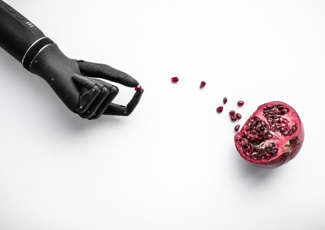 The Esper Hand holding a pomegranate seed. (Image courtesy of Esper Bionics.)