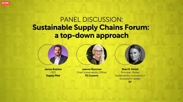 The expert panel was comprised of both industry and consulting representatives: Sheri Hinish, principal, Global Sustainability Innovation and Ecosystem leader at EY; Joanna Gluzman, chief sustainability officer at PZ Cussons; and James Butcher, CEO at Supply Pilot. (Image courtesy of Sustainability LIVE New York.)