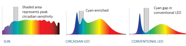 Illustration of color spectrum of the sun, circadian and conventional LED lighting relative to the Cyan distribution and gap. (Image: LANTANA LED.)